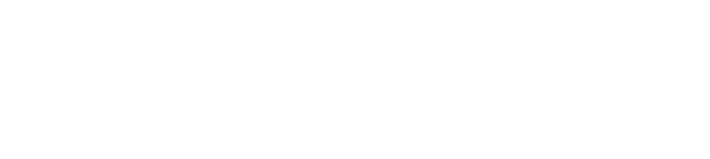 Fortune International Group